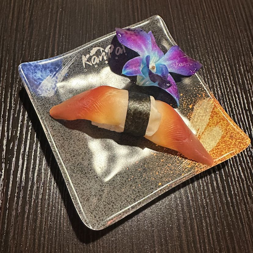 Surf Clam